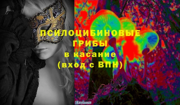амф Арсеньев