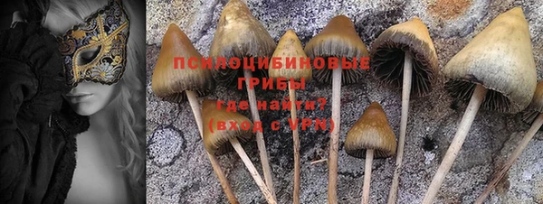 амф Арсеньев
