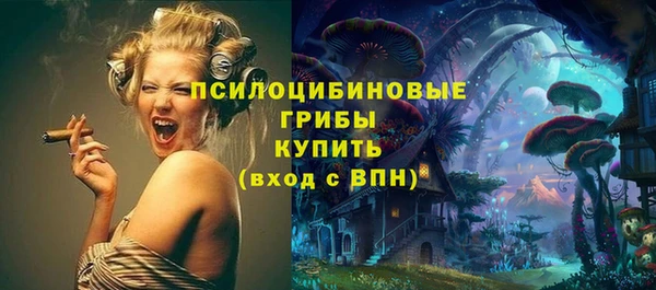 амф Арсеньев