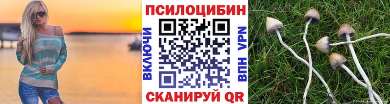 Псилоцибиновые грибы мухоморы  Сураж 